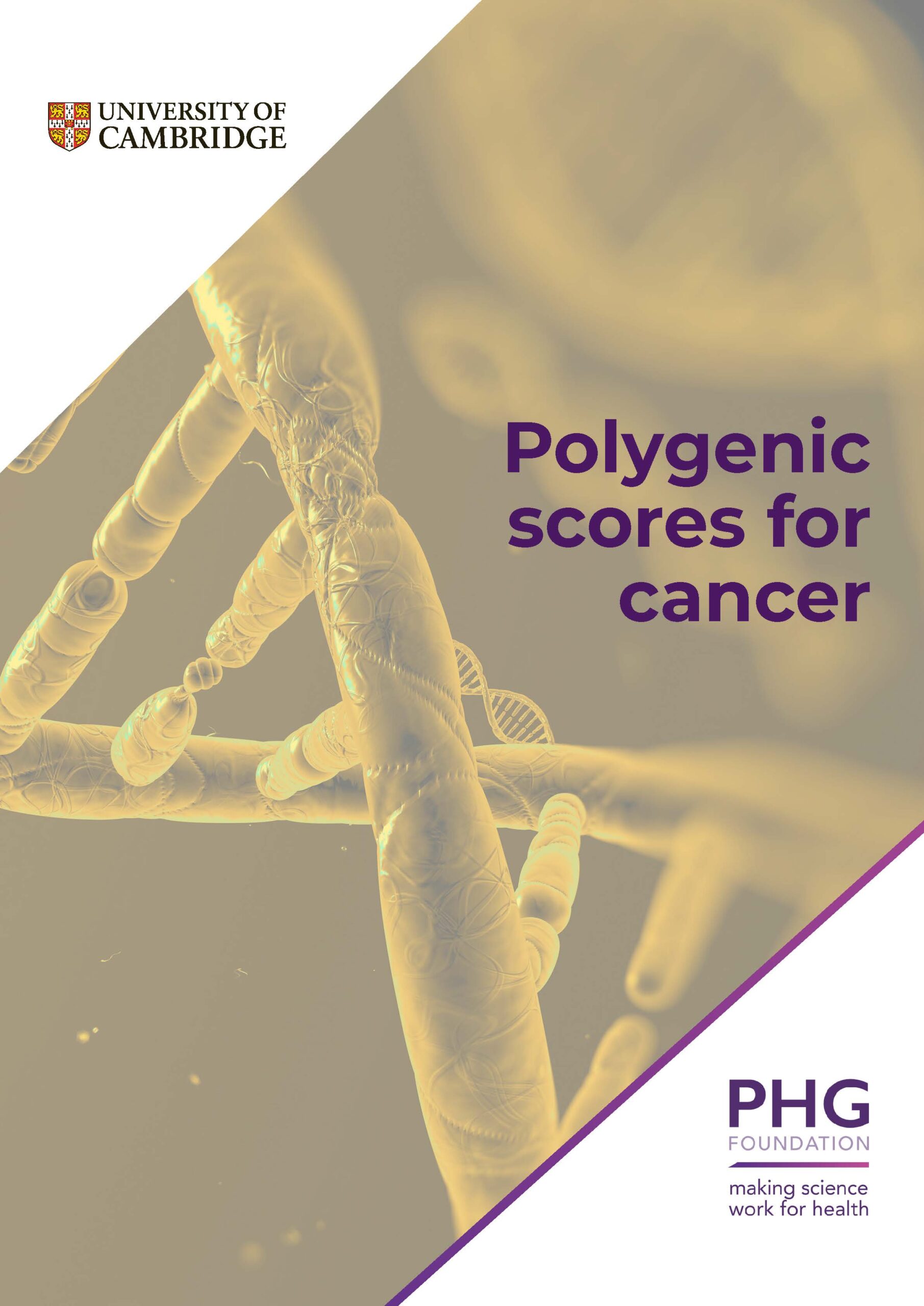 Report cover of 'Polygenic scores for cancer' - orange helix background